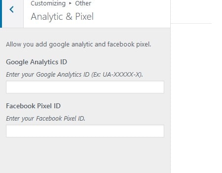 FB Pixel & Google