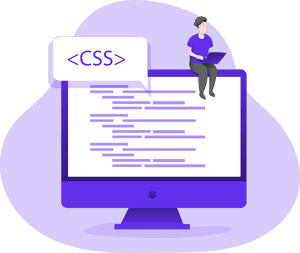 Jasa Pembuatan Website Cepat Murah Optimasi CSS